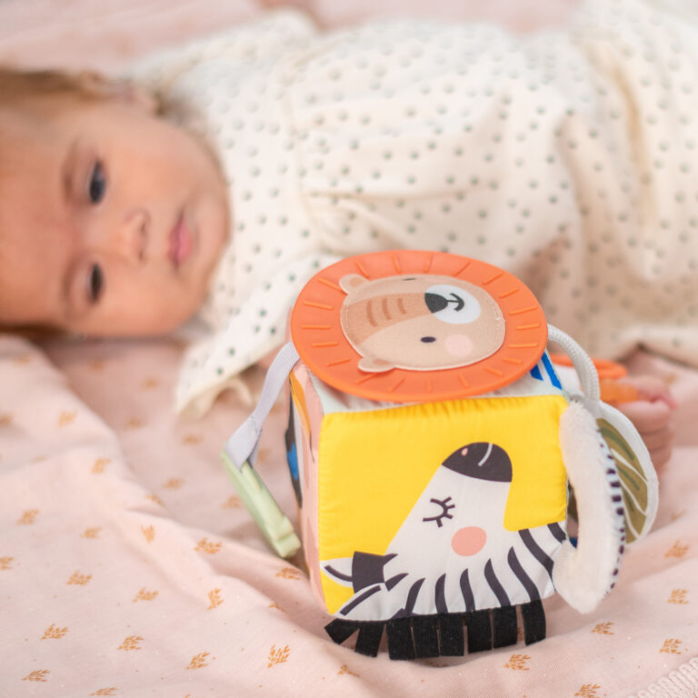 מתנה ליולדת בן – כוללת סל צבעוני קלוע עם קוביית סקרנות צבעונית, שלישיית חיתולי טטרה ובובה מנגנת נתלית